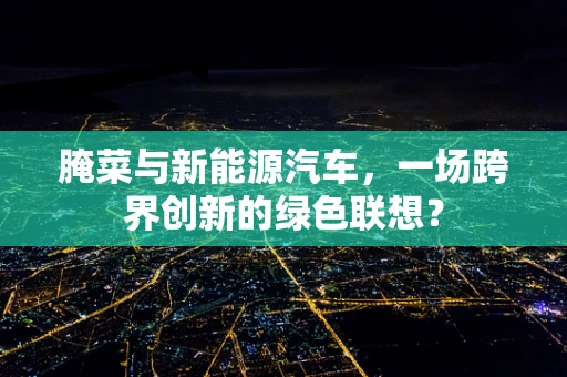 腌菜与新能源汽车，一场跨界创新的绿色联想？