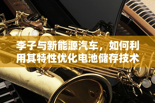李子与新能源汽车，如何利用其特性优化电池储存技术？