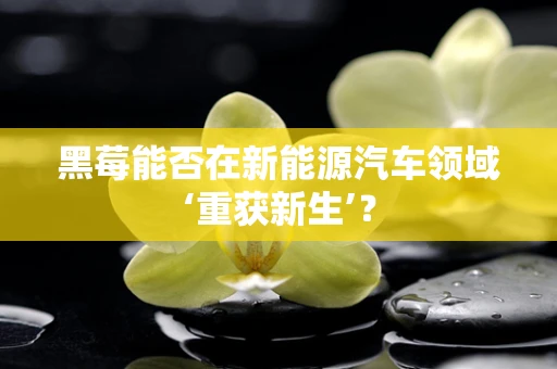 黑莓能否在新能源汽车领域‘重获新生’？