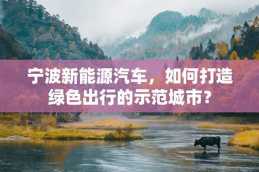 宁波新能源汽车，如何打造绿色出行的示范城市？