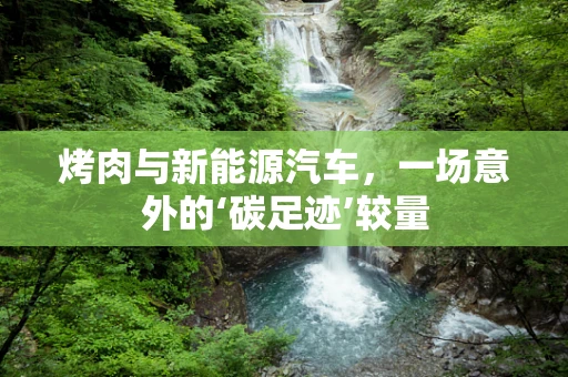 烤肉与新能源汽车，一场意外的‘碳足迹’较量