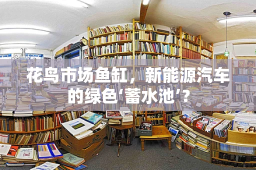 花鸟市场鱼缸，新能源汽车的绿色‘蓄水池’？