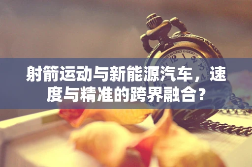 射箭运动与新能源汽车，速度与精准的跨界融合？