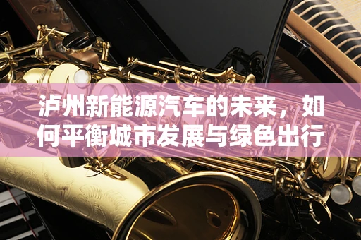 泸州新能源汽车的未来，如何平衡城市发展与绿色出行？