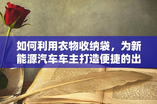 如何利用衣物收纳袋，为新能源汽车车主打造便捷的出行体验？