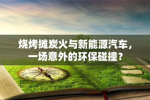 烧烤摊炭火与新能源汽车，一场意外的环保碰撞？
