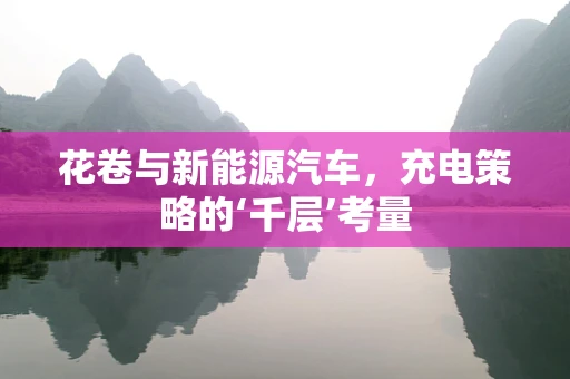 花卷与新能源汽车，充电策略的‘千层’考量