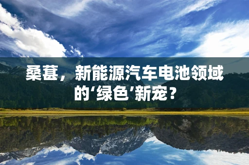 桑葚，新能源汽车电池领域的‘绿色’新宠？