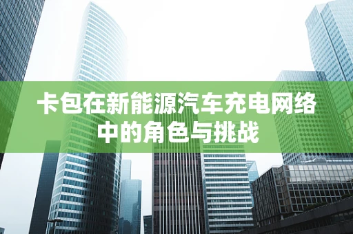 卡包在新能源汽车充电网络中的角色与挑战