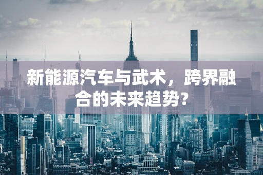 新能源汽车与武术，跨界融合的未来趋势？