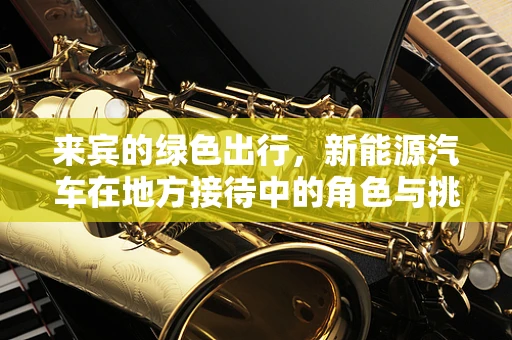 来宾的绿色出行，新能源汽车在地方接待中的角色与挑战
