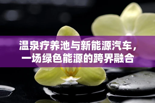 温泉疗养池与新能源汽车，一场绿色能源的跨界融合