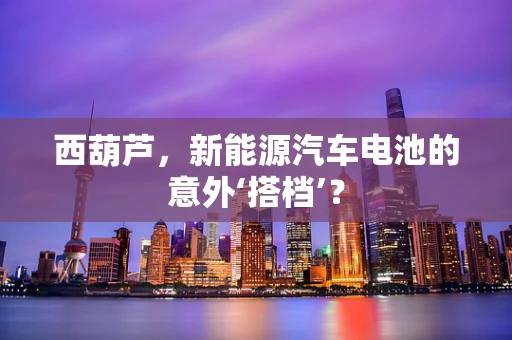 西葫芦，新能源汽车电池的意外‘搭档’？