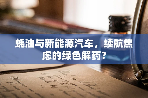 蚝油与新能源汽车，续航焦虑的绿色解药？