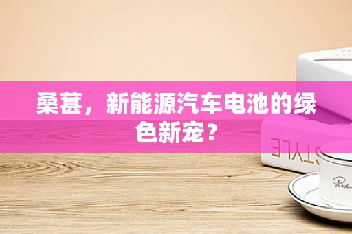 桑葚，新能源汽车电池的绿色新宠？