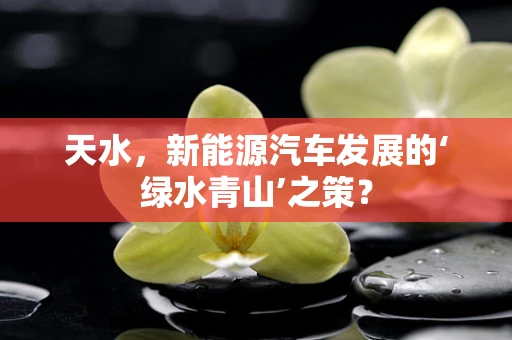 天水，新能源汽车发展的‘绿水青山’之策？