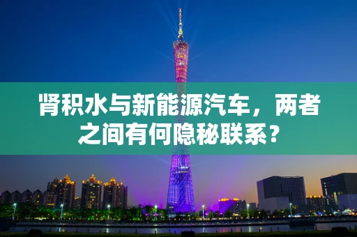 肾积水与新能源汽车，两者之间有何隐秘联系？