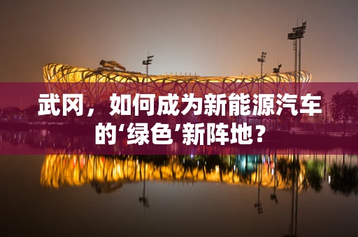 武冈，如何成为新能源汽车的‘绿色’新阵地？