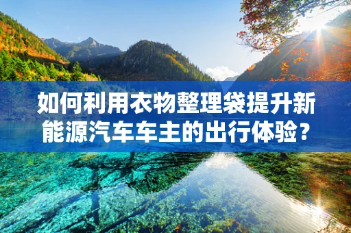 如何利用衣物整理袋提升新能源汽车车主的出行体验？