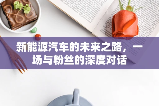 新能源汽车的未来之路，一场与粉丝的深度对话