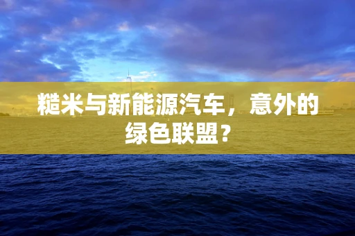 糙米与新能源汽车，意外的绿色联盟？