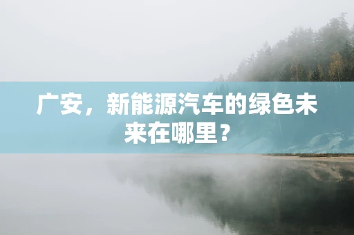 广安，新能源汽车的绿色未来在哪里？