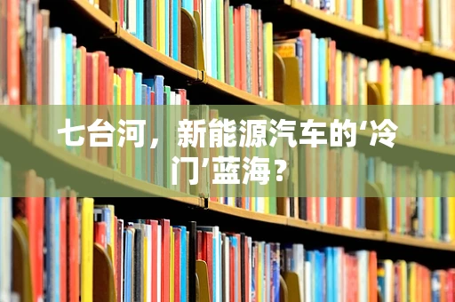 七台河，新能源汽车的‘冷门’蓝海？