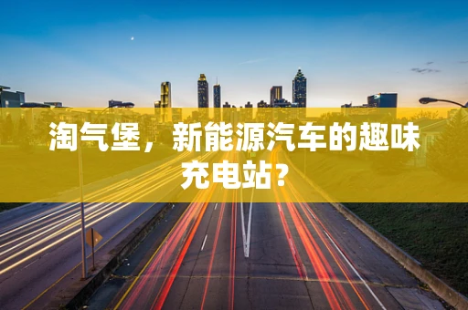 淘气堡，新能源汽车的趣味充电站？
