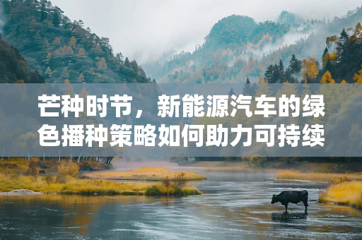 芒种时节，新能源汽车的绿色播种策略如何助力可持续发展？