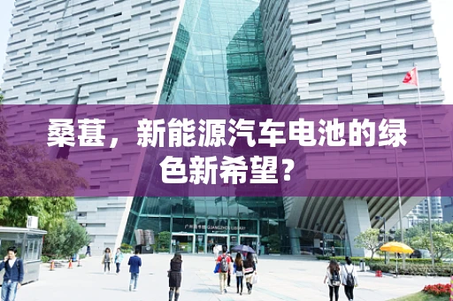 桑葚，新能源汽车电池的绿色新希望？