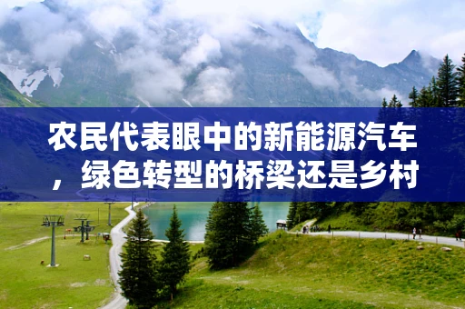 农民代表眼中的新能源汽车，绿色转型的桥梁还是乡村发展的新机遇？