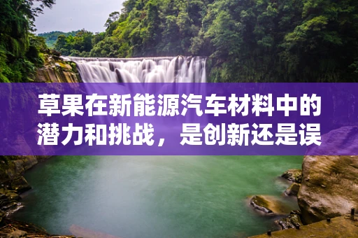 草果在新能源汽车材料中的潜力和挑战，是创新还是误导？
