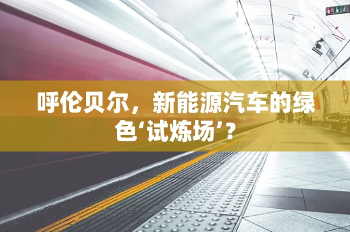 呼伦贝尔，新能源汽车的绿色‘试炼场’？