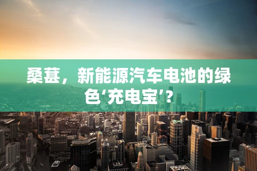 桑葚，新能源汽车电池的绿色‘充电宝’？