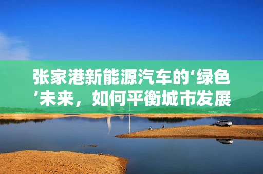 张家港新能源汽车的‘绿色’未来，如何平衡城市发展与环保需求？