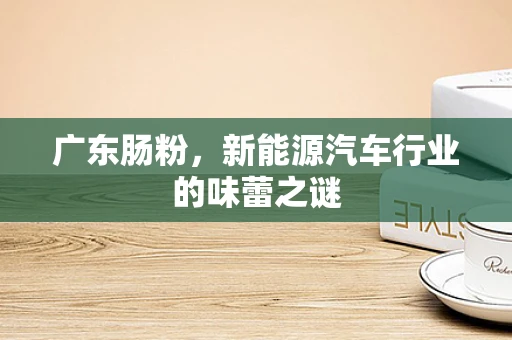广东肠粉，新能源汽车行业的味蕾之谜