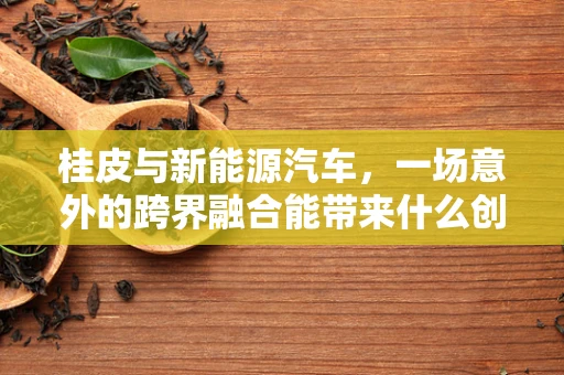 桂皮与新能源汽车，一场意外的跨界融合能带来什么创新？