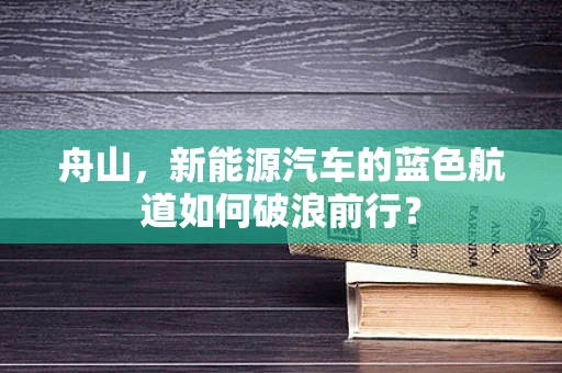 舟山，新能源汽车的蓝色航道如何破浪前行？