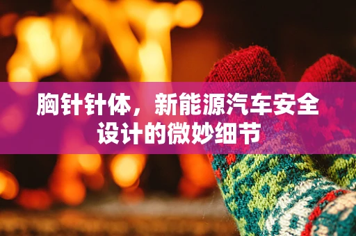 胸针针体，新能源汽车安全设计的微妙细节