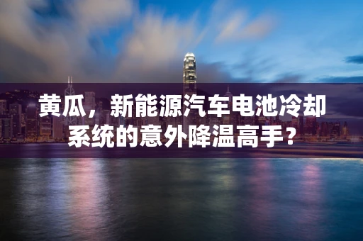 黄瓜，新能源汽车电池冷却系统的意外降温高手？