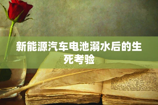 新能源汽车电池溺水后的生死考验