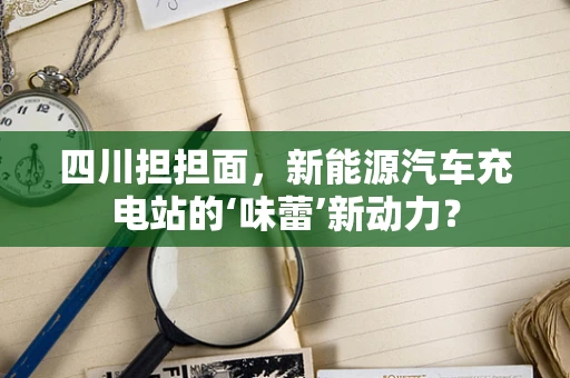四川担担面，新能源汽车充电站的‘味蕾’新动力？