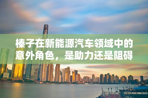 榛子在新能源汽车领域中的意外角色，是助力还是阻碍？
