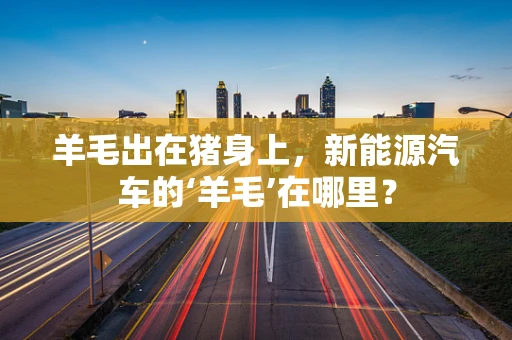羊毛出在猪身上，新能源汽车的‘羊毛’在哪里？