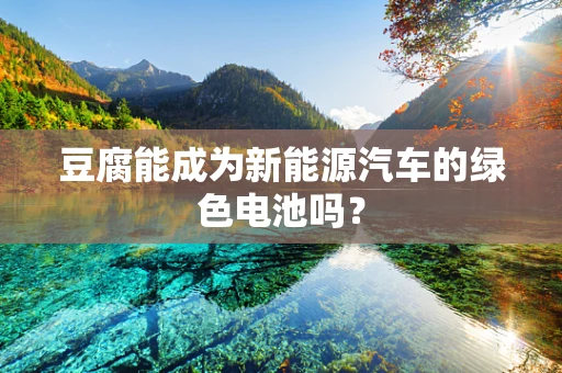 豆腐能成为新能源汽车的绿色电池吗？