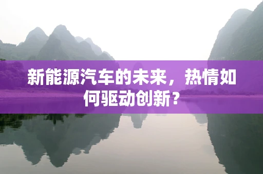 新能源汽车的未来，热情如何驱动创新？