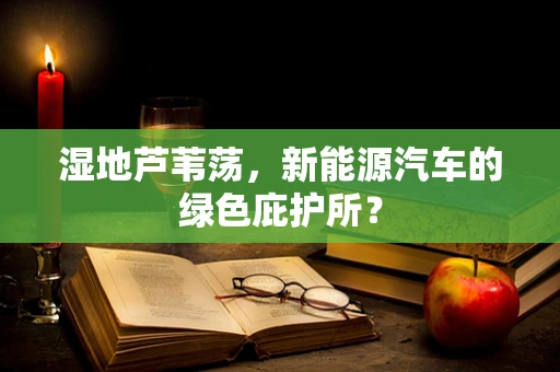 湿地芦苇荡，新能源汽车的绿色庇护所？