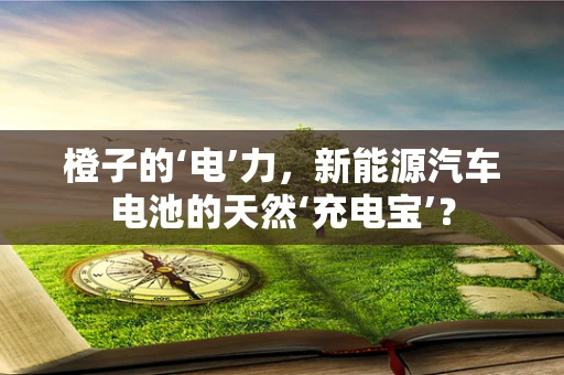 橙子的‘电’力，新能源汽车电池的天然‘充电宝’？