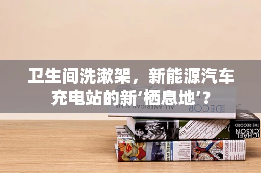 卫生间洗漱架，新能源汽车充电站的新‘栖息地’？