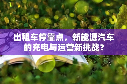 出租车停靠点，新能源汽车的充电与运营新挑战？